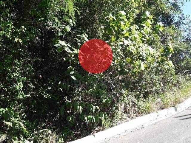 Terreno para Venda em Santana de Parnaíba - 2