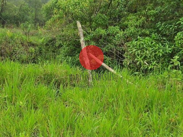 #1605 - Área para Venda em Mogi das Cruzes - SP - 3