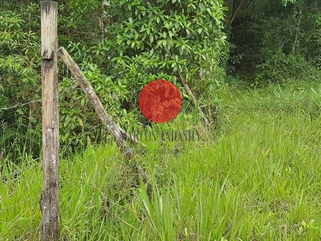 Área para Venda em Mogi das Cruzes - 4
