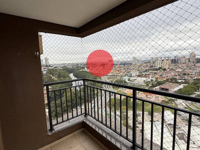 Locação em Jardim Tupanci - Barueri