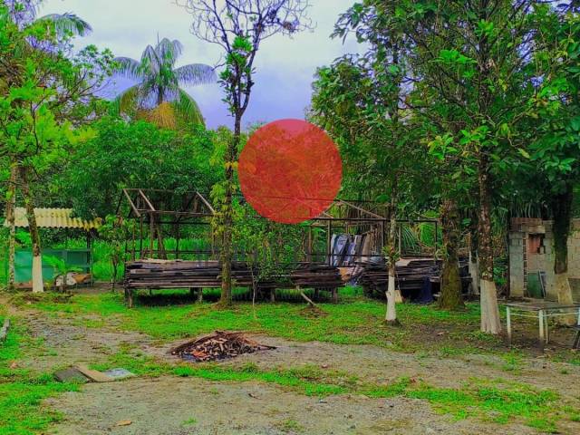 Chácara para Venda em Bertioga - 5