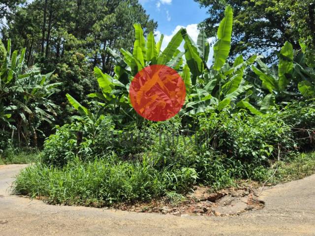 #6872 - Chácara para Venda em Santana de Parnaíba - SP