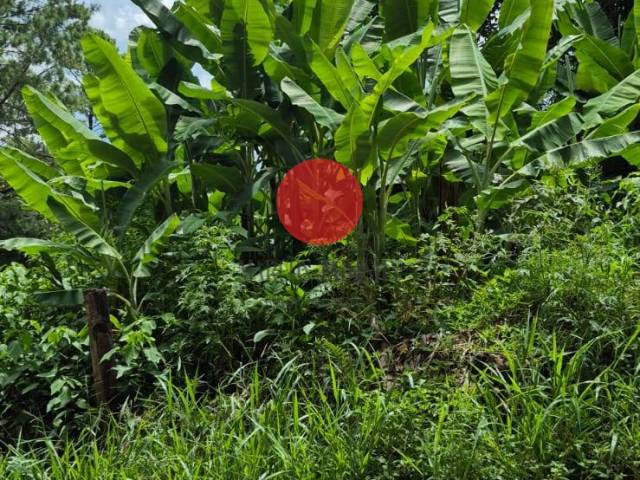 Chácara para Venda em Santana de Parnaíba - 4