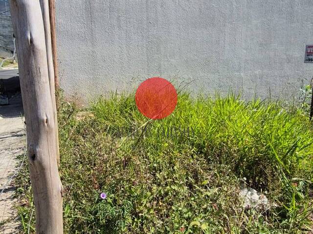 Terreno para Venda em Barueri - 3