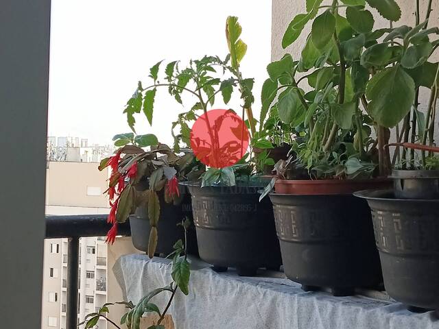 Apartamento para Venda em Osasco - 4